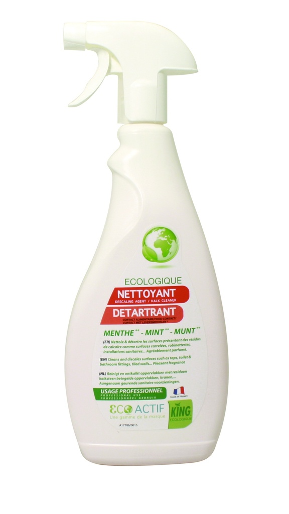 KING ECOACTIF DÉTARTARANT SANITAIRE MINT 750 ML