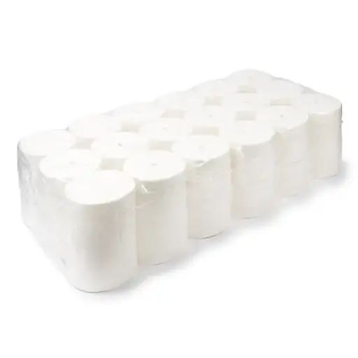 [6029] CORELESS COMPAC ENSURE 2PLIS 36RLX