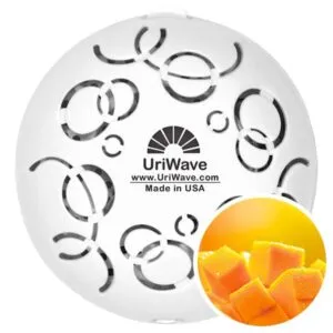 [61042] INTENSITY Mango Recharge pc